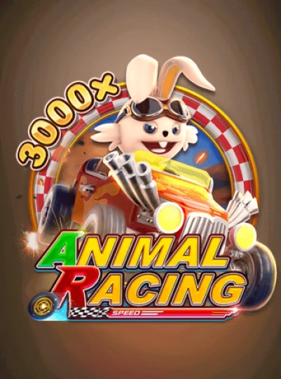 bbo88 new game